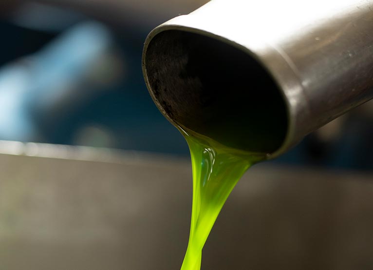 ヌォヴォ・ラッコルト