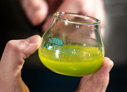 ヌォヴォ・ラッコルト